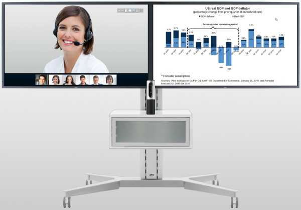 Videotelefonie Software